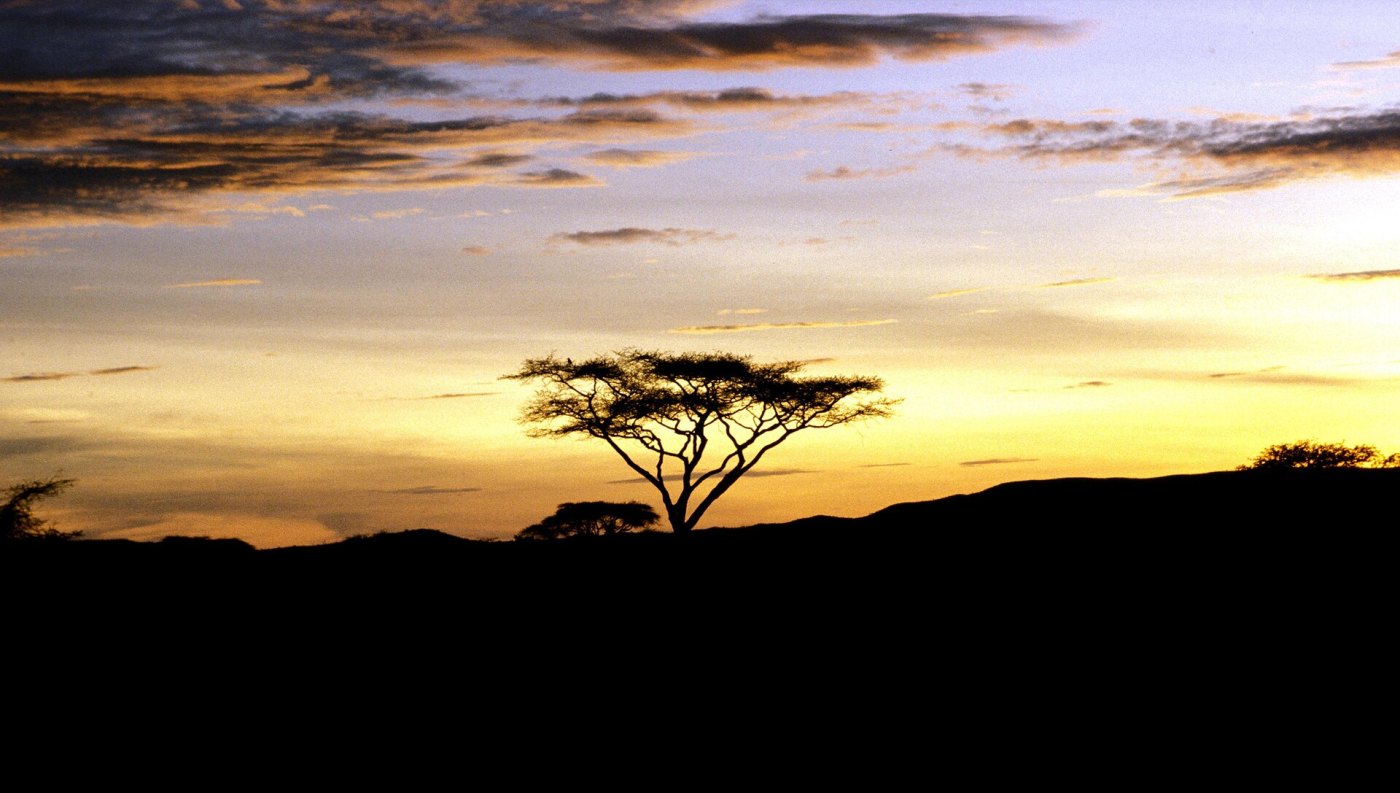 Multi-Country Safaris