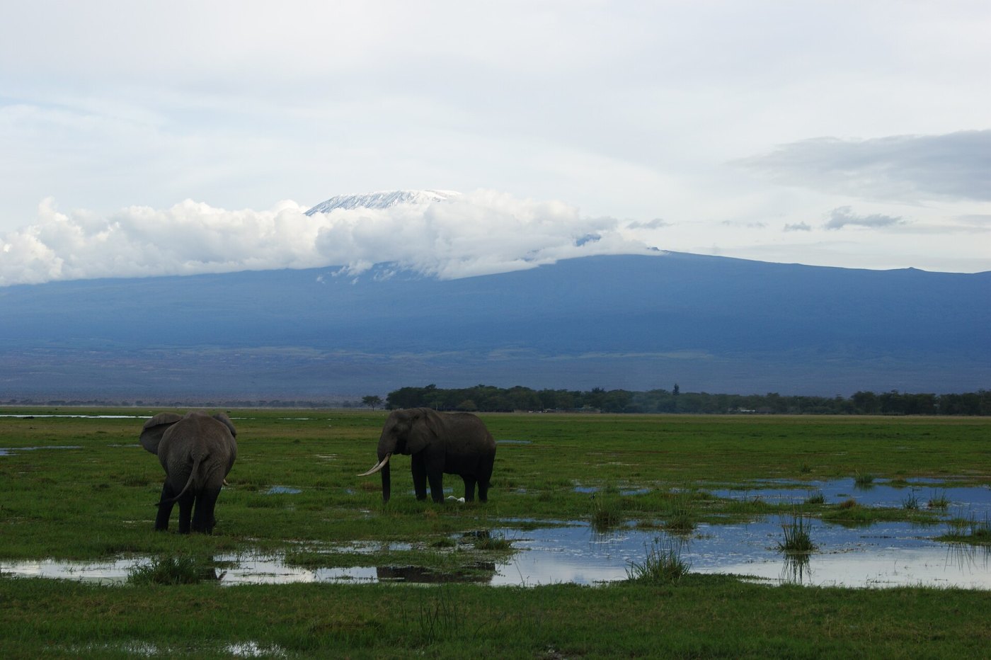 Amboseli National Park